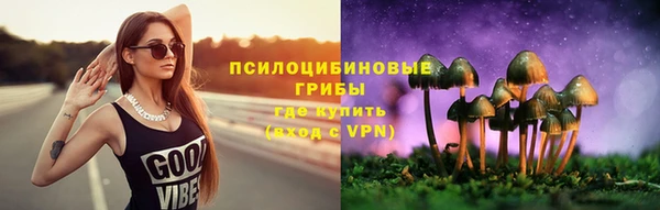 apvp Горно-Алтайск