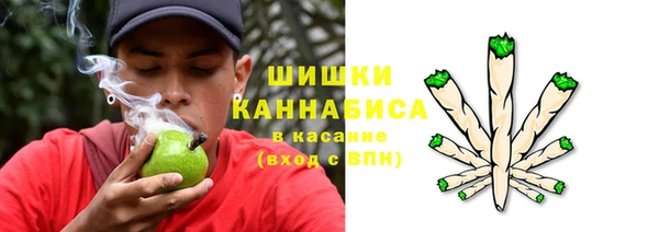 прущие крисы Горнозаводск