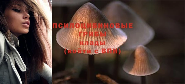 прущие крисы Горнозаводск